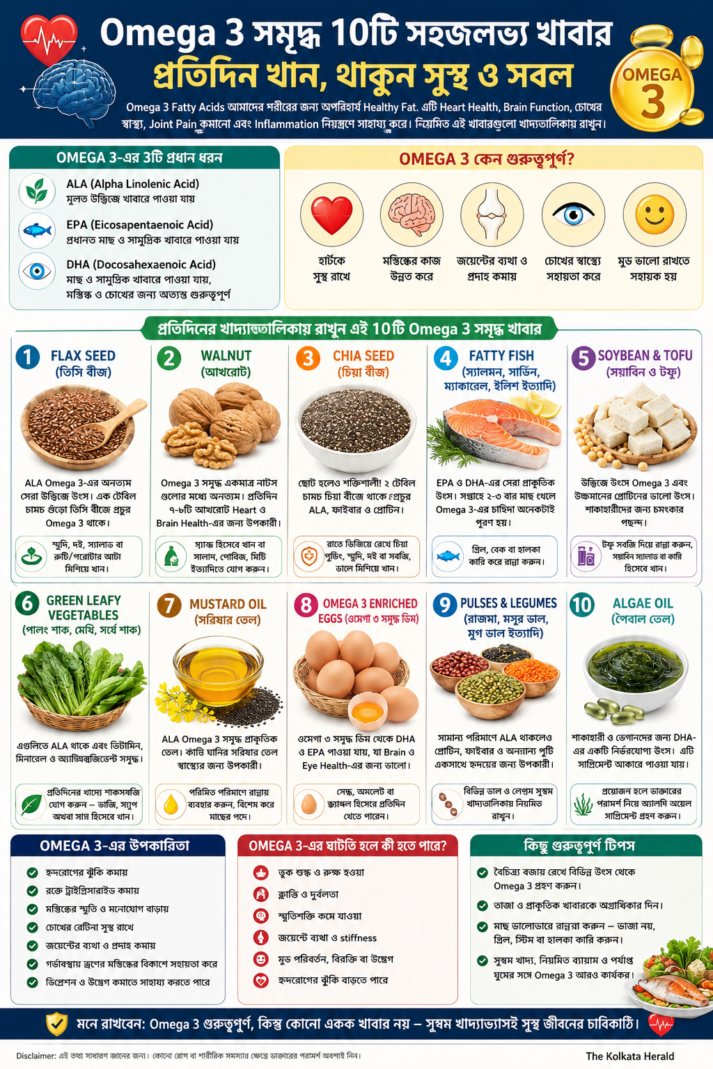 Omega 3 সমৃদ্ধ ১০টি সহজলভ্য খাবার, তাদের স্বাস্থ্য উপকারিতা, Omega 3 এর ধরন, ঘাটতির লক্ষণ এবং প্রতিদিনের খাদ্যাভ্যাসে অন্তর্ভুক্ত করার উপায় নিয়ে বাংলা তথ্যভিত্তিক ইনফোগ্রাফিক।