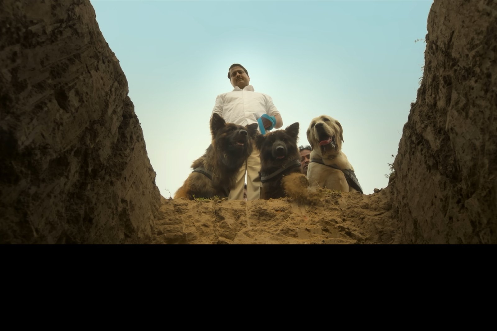 Ohh My Dog রিভিউ: Oscar নামের একটা কুকুরই কেড়ে নিলো গোটা সিনেমার স্পটলাইট তিনটি প্রশিক্ষিত কুকুরের সঙ্গে একজন ব্যক্তিকে মাটির নিচ থেকে দেখা যাচ্ছে